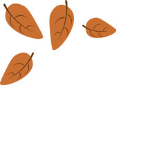 Autumn Leafes Corner