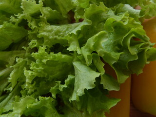 Green leaves of homemade salad and pieces of yellow pepper photographed close-up. Healthy...