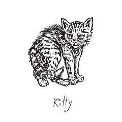 Cat (kitty) small cute stretching, side view, doodle black ink drawing, woodcut vector