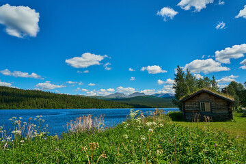 typical swedish log hut or cabin in the woods.