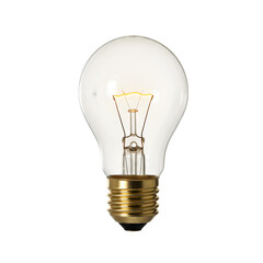 Classic A-Shaped Light Bulb: Clear Glass Edison Bulb with Brass Base