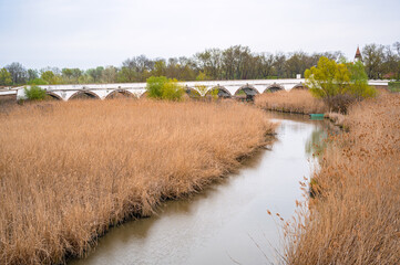 Hortobágy Nine Hole Bridge A Detailed Autumnal Landscape
