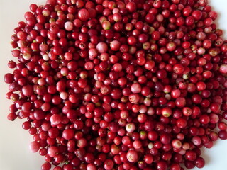 Red lingonberry photographed close-up. Healthy vegetarian food. Healthy food for health.