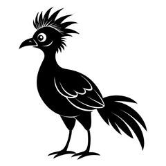 Hoatzin vector clean black silhouette design white background