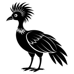 Obraz premium Hoatzin vector clean black silhouette design white background