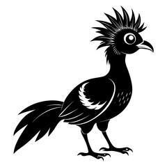 Fototapeta premium Hoatzin vector clean black silhouette design white background