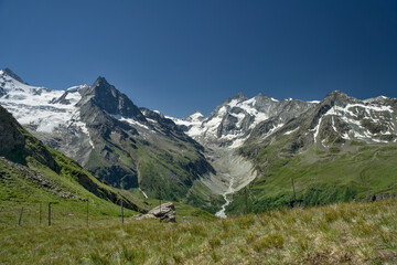 Swiss Alps mountain panorama in Val d&rsquo;Anniviers, Wallis, Switzerland. Fresh alpine flowers in the foreground with a mountain range in the background, captured in summer on a high altitude