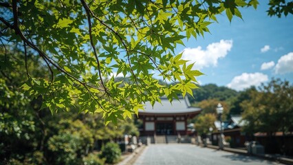 Obraz premium Entrance walkway to a peaceful shrine with lush fresh leaves