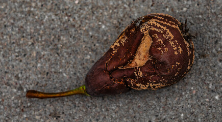 Faule Birne im Detail