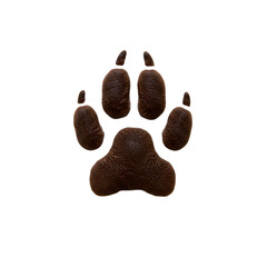 Big Cat Paw Print: Close-Up Texture & Design Element