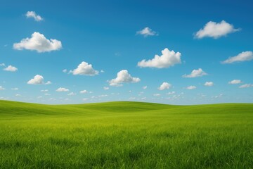 Obraz premium Warm season landscape featuring textured backdrop