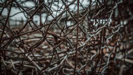 Wire mesh material used in the making of mesh patterns. Gain better security advantages. Perfect for building fences.