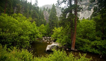Lush river valley scene (1)