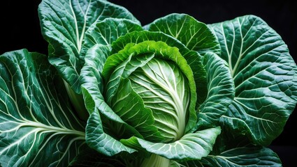 Obraz premium Close-up view showcasing the detailed pattern of vibrant green cabbage leaves with a black backdrop and natural lighting