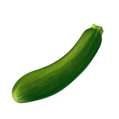 Green Zucchini Vegetable PNG Illustration