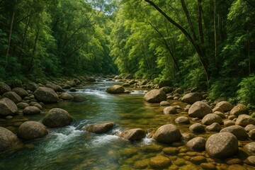 Fototapeta premium Rivers and Creeks Found in Far North Queensland