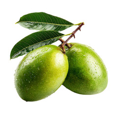 Green mango on transparent background