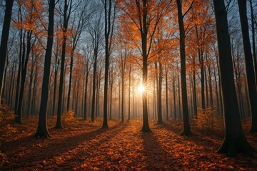 Obraz premium Frosty trees in autumn