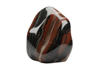 Ancient petrified wood, smoothed by ocean waves, with polished dark charcoal, mahogany, and mineral veins, on a seamless transparent studio background. Concept of geological history and natural