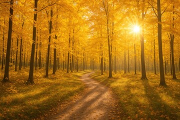 Fototapeta premium Vibrant autumnal forest scene with yellow leaves and bright sunlight