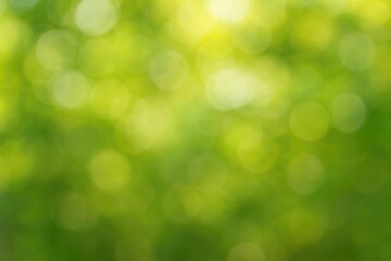 Blurred natural scenery with bokeh effects