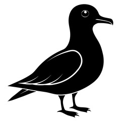 Petrel vector clean black silhouette design white background