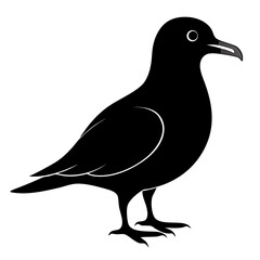 Petrel vector clean black silhouette design white background