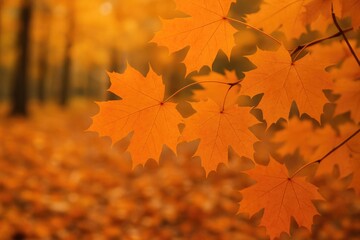 Obraz premium Autumn setting featuring bright orange maple leaves