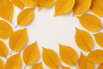 Fototapeta premium Single image of fall golden leaves