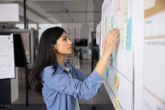 Focused young Indian project manager woman moving colorful sticky notes on scrum board, working on schedule alone, preparing strategy canvas board for presentation