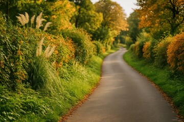 Obraz premium Serene city pathway adorned with abundant foliage, shallow focus