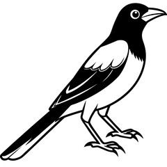 Oriole line art vector
