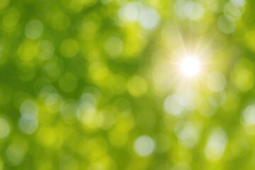 Obraz premium Soft-focus nature shot highlighting leaves, sunlight, and a blurred sky background