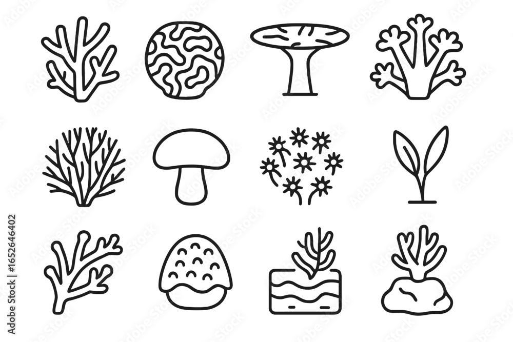 Poster stylized botanical icon set on dark background for design projects