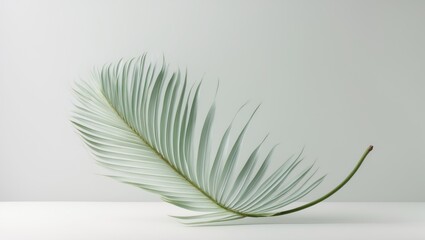 Stylish white background showcasing a lush palm leaf