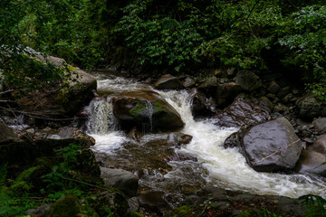 Clean mountain river flowing through stones and rocks in green forest