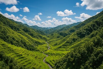 Fototapeta premium Banaue's Iconic Rice Terraces