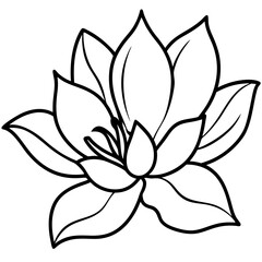 Sweetbay Magnolia line art vector © M F BD Design 