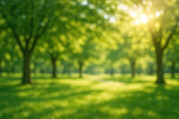 Blurred view of a park area