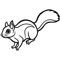 Fototapeta premium Flying squirrel line art vector
