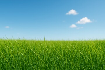 Nature Scene with Grass and Sky - Wallpaper Collection