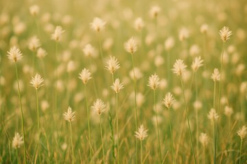 Naklejka premium Wide expanse of grassy terrain dotted with flowers
