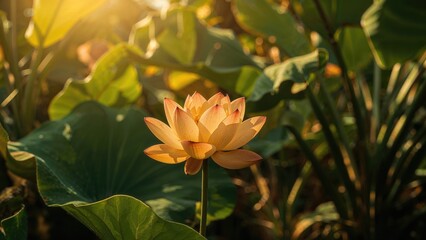 Banana decorated with a golden lotus