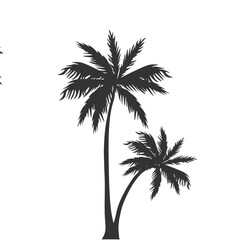 Palm Tree Shilhouette