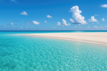 Obraz premium Exploring the Marine Beauty of Carbin Reef