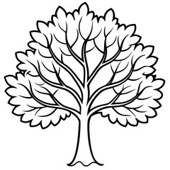 White Elm line art vector