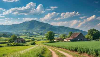 Decomposing leaf resting on a black surface