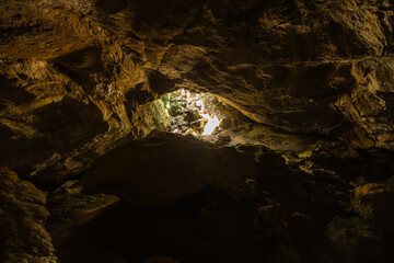 ニュージーランド　ウェスト・コースト地方のプナカイキにある洞窟内の風景