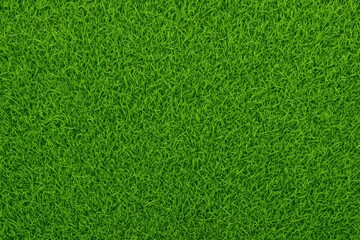 Fresh green grass scene with natural scenery