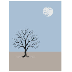 Bare Tree Silhouette Under Moonlit Sky